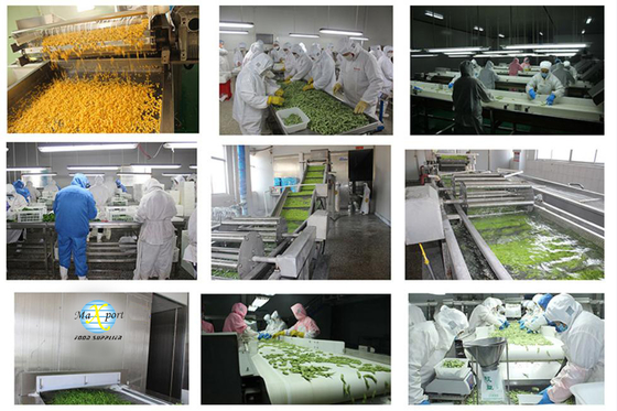 China Supplier Soya Beans IQF Frozen Edamame in Shelled