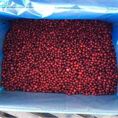 OEM/ODM Hot Selling Economical Bulk IQF Frozen Lingonberry High Demand IQF Frozen Fruit
