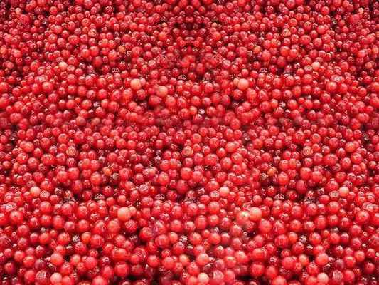 OEM/ODM Hot Selling Economical Bulk IQF Frozen Lingonberry High Demand IQF Frozen Fruit