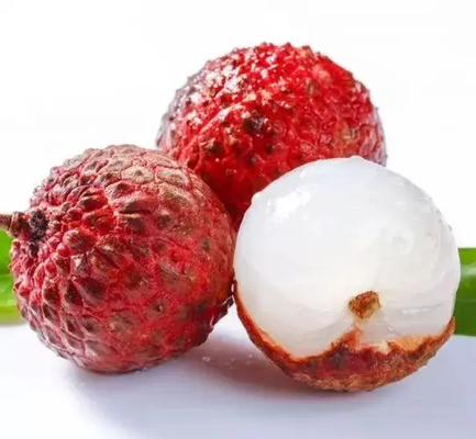 Frozen Whole Peeled Lychee in Bulk Carton Packaging IQF Sweet Tasted Lichee Fruit with Mango Variety of Preserved Fruits