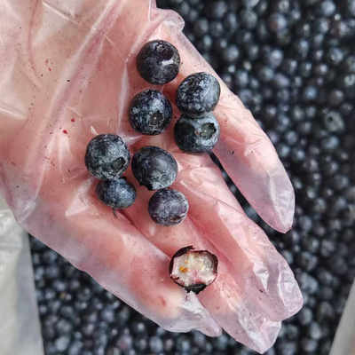Wholesale Chinese Iqf Frozen Berries IQF Frozen Blueberry for Export with Good Price Blue Berry