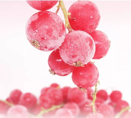 Hot Sell New Crop Iqf Frozen Bulk Red Lingonberry in Frozen Fruits Bulk Packing