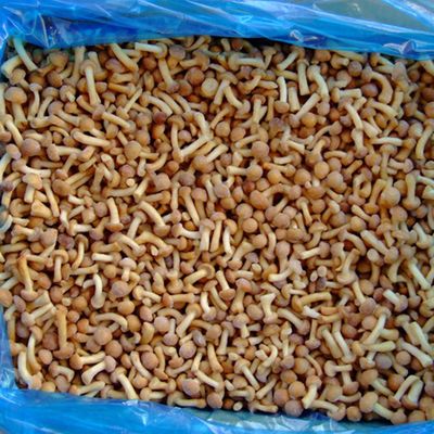 Замороженные фрукты