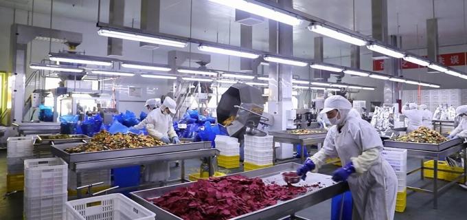 Высококачественная оптовая замороженная малина замороженная малина оптовая упаковка фрукты 9