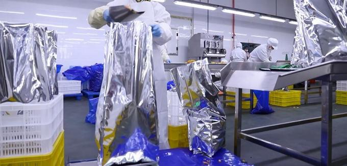 Высококачественная оптовая замороженная малина замороженная малина оптовая упаковка фрукты 11