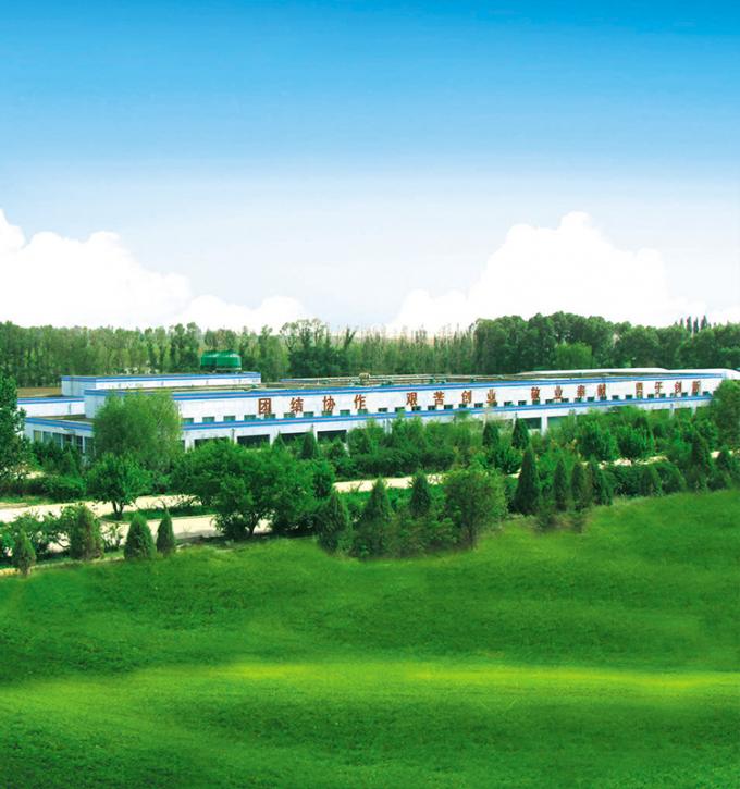 Sinocharm 4-звездочный продукт BRC-A Свежий желтый персик 10x10 мм Замороженные кубики фруктов IQF Кубики желтого персика 8