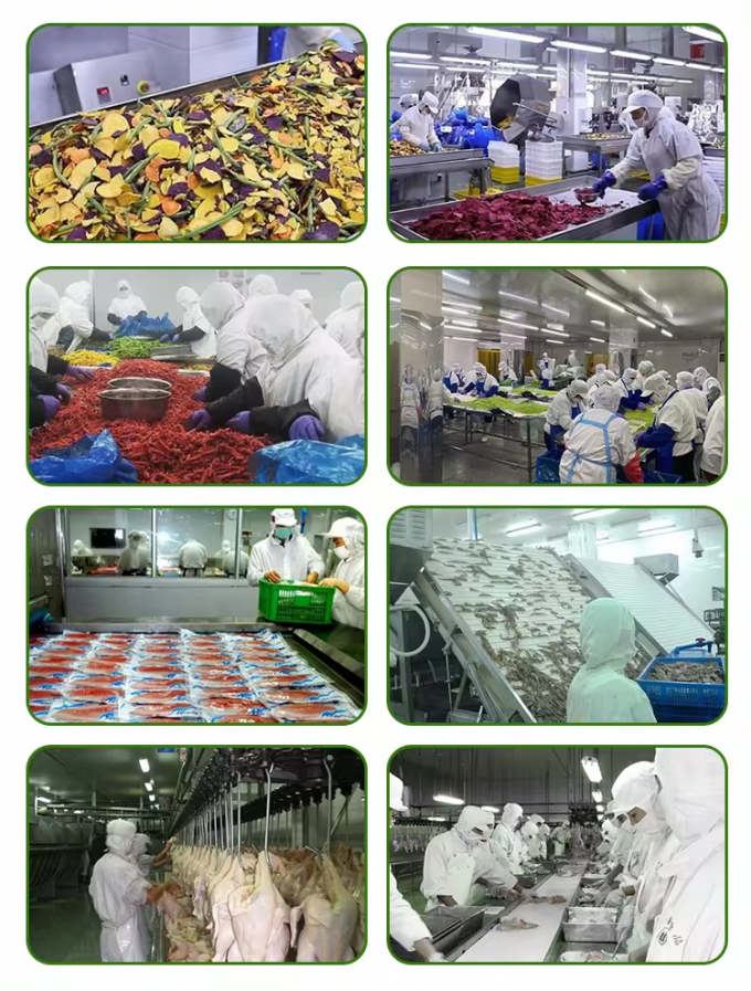 Оптовая партия замороженной тыквы, нарезанной кубиками, IQF, замороженные овощи 5