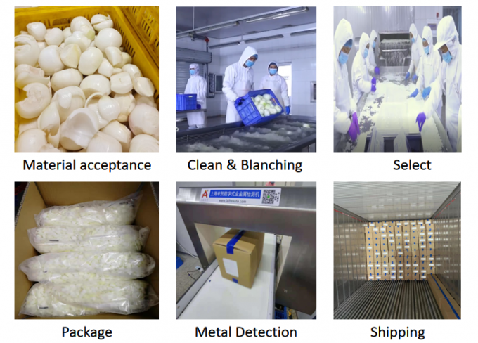 Оптовая продажа Brc Certified Iqf Замороженный лук 0