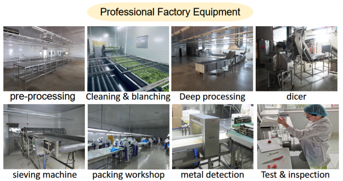 Заводская цена производителя IQF Высококачественная свежая замороженная малина Сербия для экспорта 6