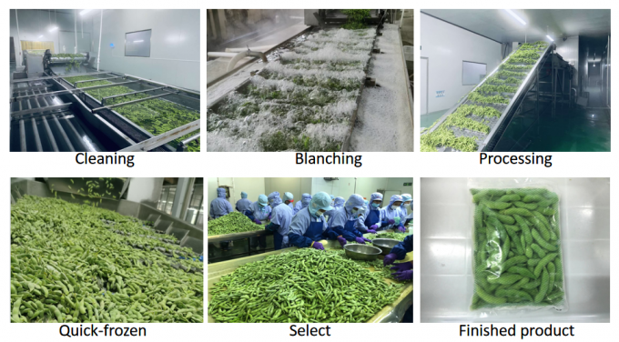 Замороженные органические соевые бобы с высоким содержанием белка, готовые к приготовлению, IQF 4