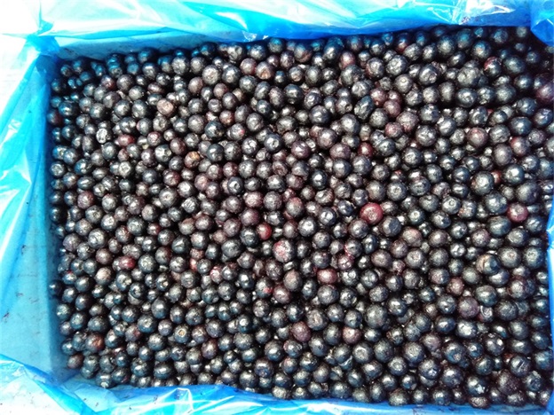 IQF Замороженные целые черники Премиум выпечка и коктейли 2