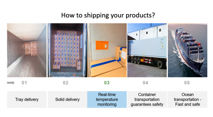 Оптовая торговля IQF замороженные малиновые крупы Фабричная цена Строгий контроль качества Хороший вкус 5
