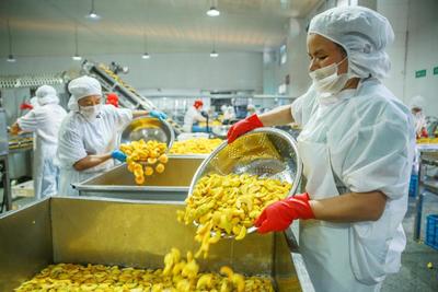 IQF Органические половинки желтого персика Замороженные фрукты Сладкий вкус Массовая упаковка Консервированная вода Мякоть Целые кубики Доступны ломтики 8