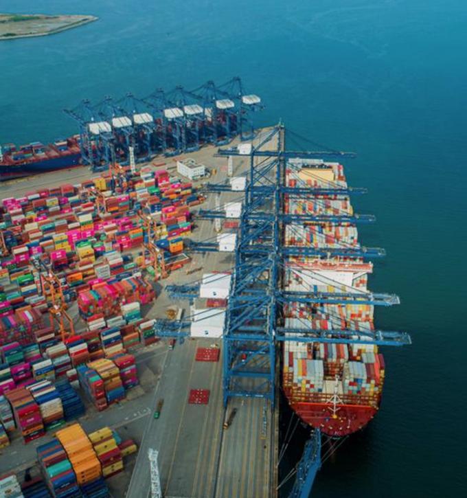 IQF Органические половинки желтого персика Замороженные фрукты Сладкий вкус Массовая упаковка Консервированная вода Мякоть Целые кубики Доступны ломтики 13