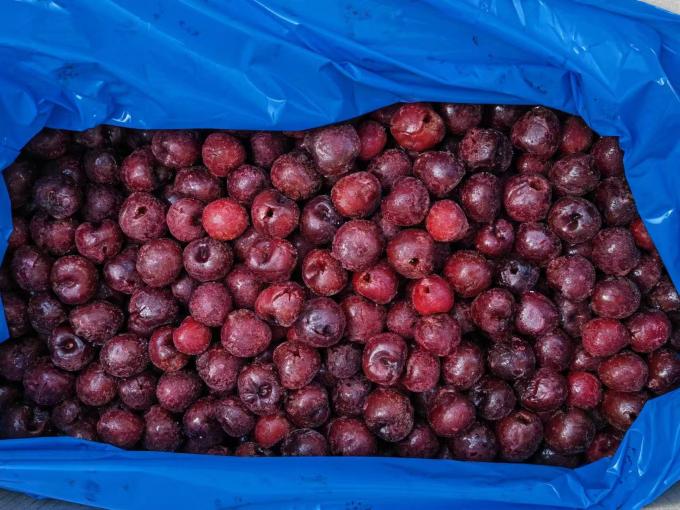 Sinocharm HACCP OEM Brands Factory Price Pitless Wholesale IQF Frozen Fresh Sour Cherry Fruit из Китая для десерта 0