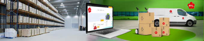 Высококачественный IQF Замороженные абрикосы вдвое горячие продажи для оптовой и розничной торговли Фабричная цена Сохранение воды оптовая упаковка 1