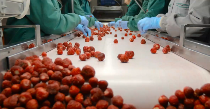 Высококачественный IQF Замороженные абрикосы вдвое горячие продажи для оптовой и розничной торговли Фабричная цена Сохранение воды оптовая упаковка 3