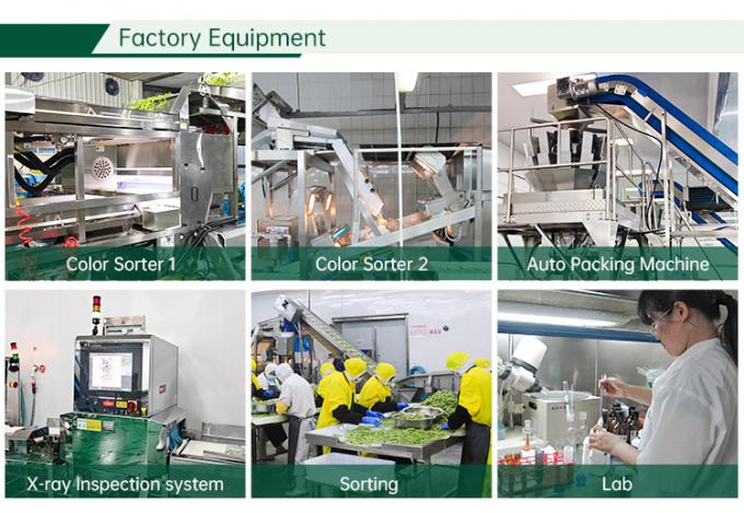 Сертифицированный завод по производству замороженных овощей HALAL IQF Томатные кубики 10 мм Замороженные нарезанные помидоры в Китае 2