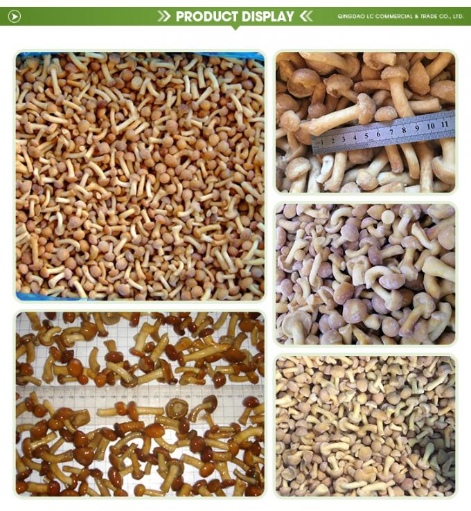 Дикие органические грибы здоровые натуральные питательные свежие целые замороженные грибы IQF замороженные Nameko 1