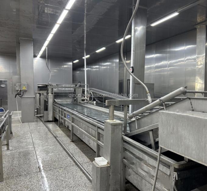 IQF Четыре замороженных овоща Зеленый горох и сладкие кукурузные яблоки и морковь и зеленые бобы 9