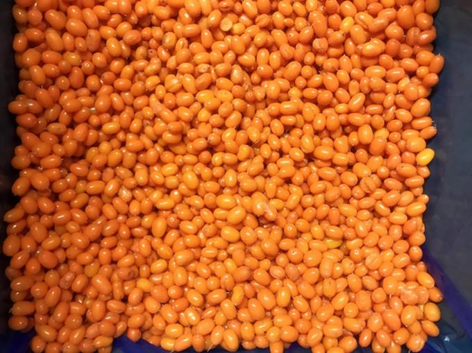 Происхождение Китай IQF Свежезамороженная дикая облепиха первого сорта Облепиха Брусника Малина, Черника Смесь ягод 3