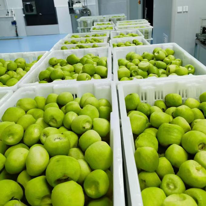 Киви Фрукты замороженные Фрукты замороженные Киви мяч Качество натуральное 3