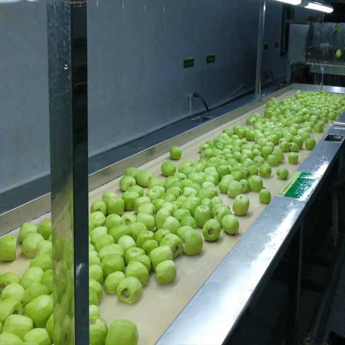 Киви Фрукты замороженные Фрукты замороженные Киви мяч Качество натуральное 5