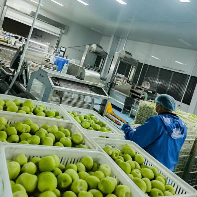 Киви Фрукты замороженные Фрукты замороженные Киви мяч Качество натуральное 4