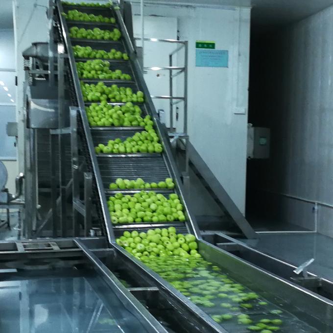 Киви Фрукты замороженные Фрукты замороженные Киви мяч Качество натуральное 6