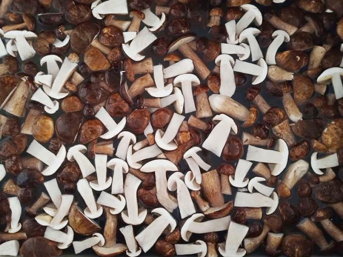 Замороженные грибы IQF BOLETUS EDULIS класс A Срок годности 24 месяца ISO HACCP BRC KOSHER HALAL сертифицированный 10 тонн MOQ 0