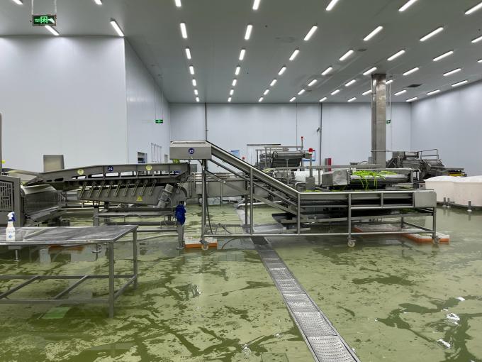 Высококачественная свежемороженая малина, собранная вручную для сладкого вкуса соков, десертов и молочных коктейлей 9