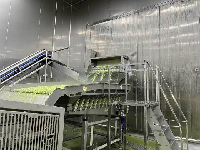 Высококачественная свежемороженая малина, собранная вручную для сладкого вкуса соков, десертов и молочных коктейлей 10