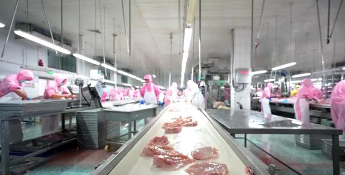 Высококачественная замороженная бескостная куриная грудь экспортируется в оптовых упаковках 6